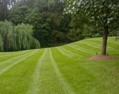 <p style="font-family: 'Poppins', sans-serif; font-weight: 700; font-size:24px;">LAWN MOWING SERVICES</p>